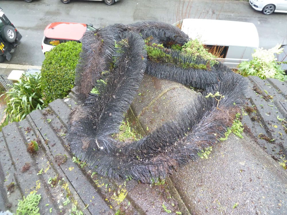 Gutter Repair & Replacement Services Hastings, Bexhill, Eastbourne